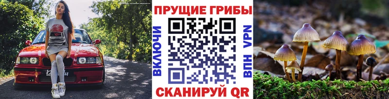 KRAKEN сайт  Углегорск  Псилоцибиновые грибы Psilocybe 