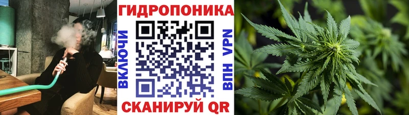 купить  сайты  Углегорск  гидра вход  Марихуана OG Kush 